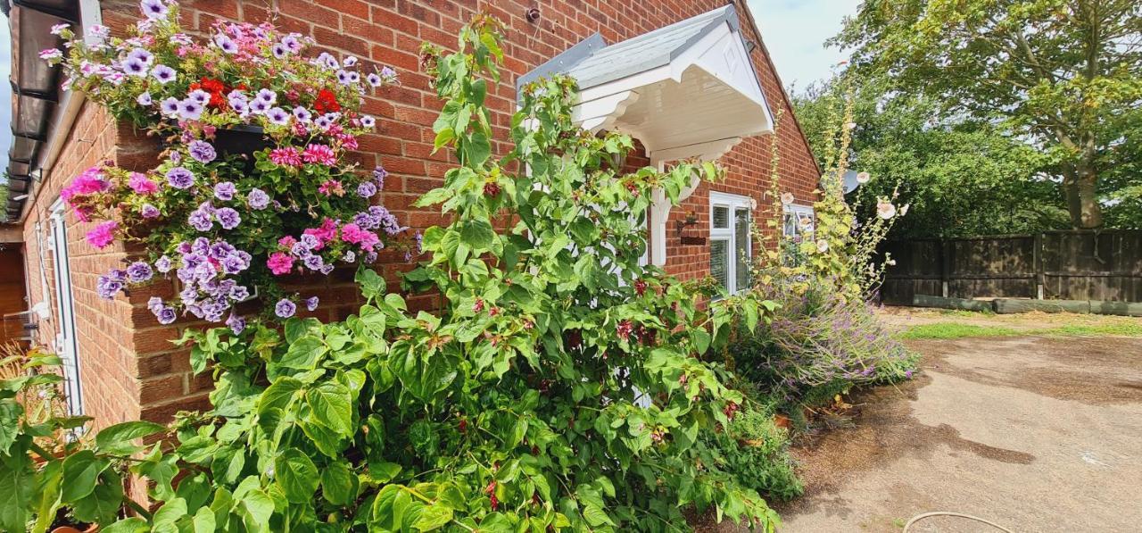 Sherwood Bungalow 3 Bedroom Entire Property Boston Extérieur photo